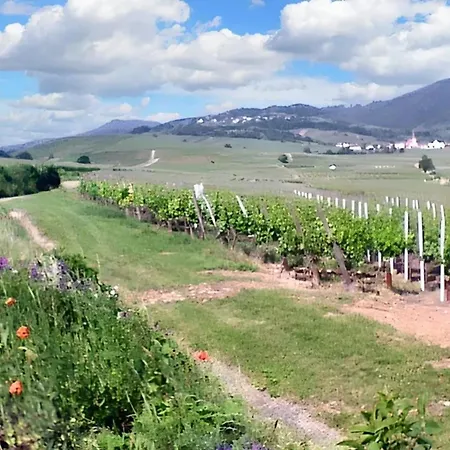 Maison Enchanteresse A Avec Vue Sur La Montagne 펜션