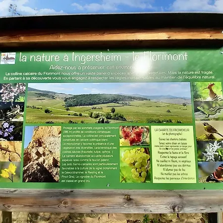 Maison Enchanteresse A Avec Vue Sur La Montagne