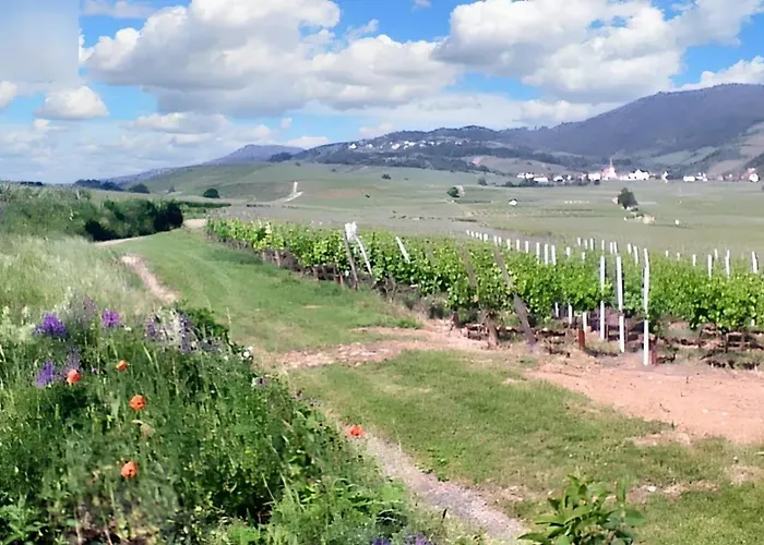 Maison Enchanteresse A Avec Vue Sur La Montagne Vakantiehuis