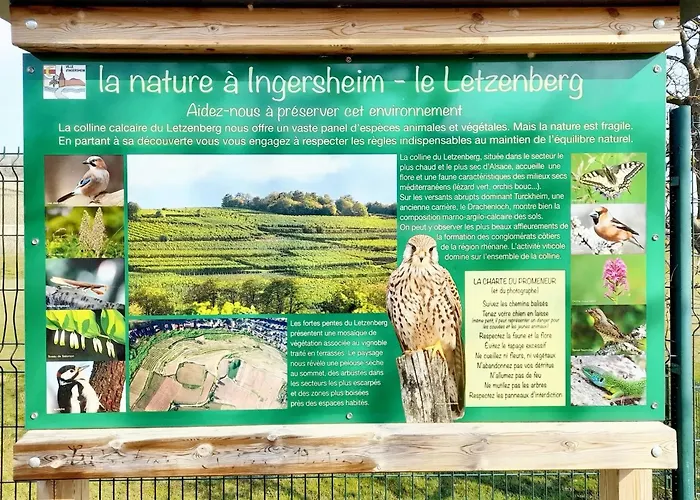 Maison Enchanteresse A Avec Vue Sur La Montagne Ingersheim